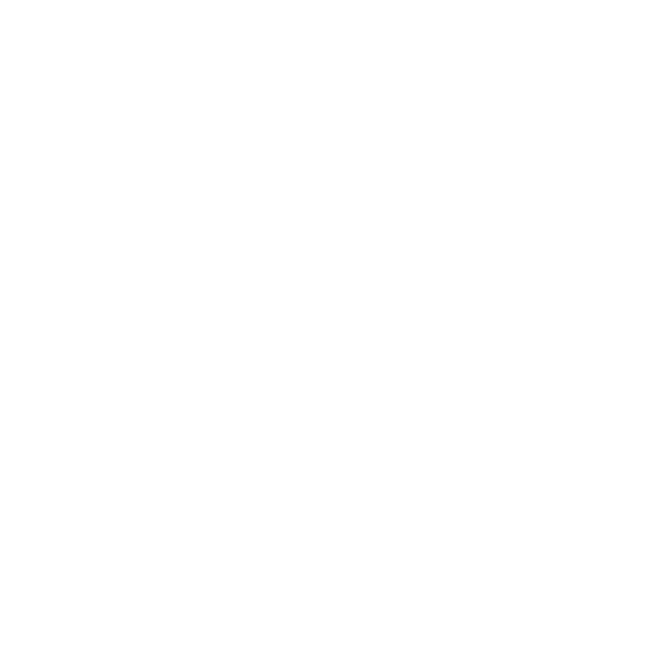 AGL Investor Day